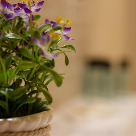 Suite Corallo - Smart Holiday Mantua Buitenkant foto
