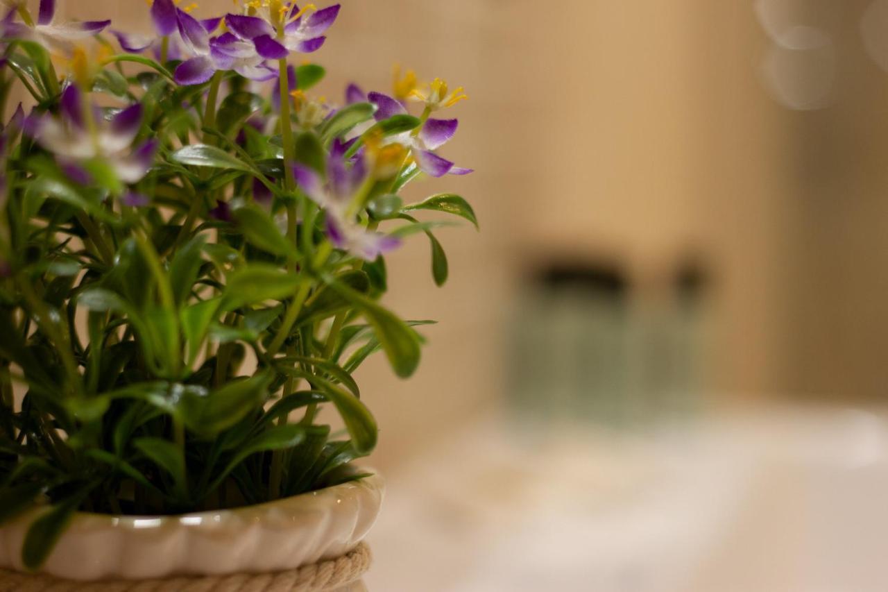 Suite Corallo - Smart Holiday Mantua Buitenkant foto